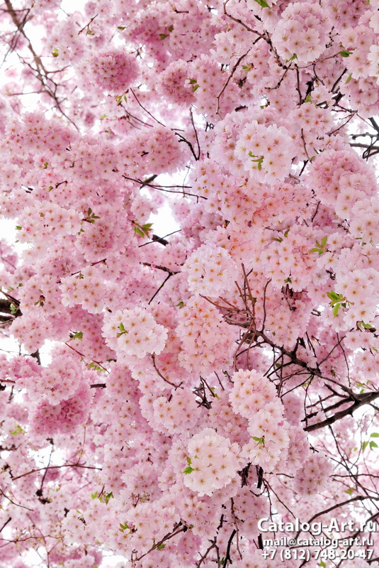 Blossom tree 51